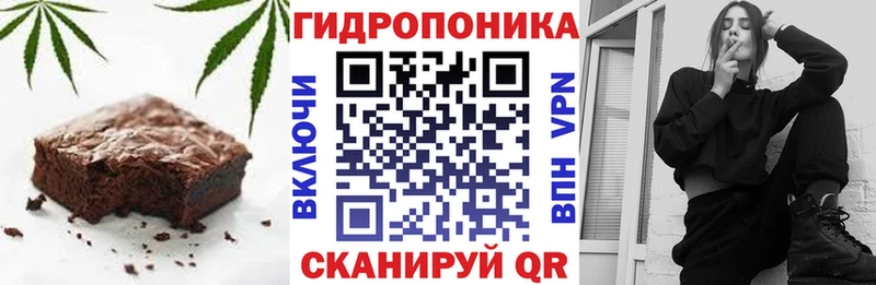 Canna-Cookies марихуана  кракен ссылки  маркетплейс официальный сайт  Коряжма 