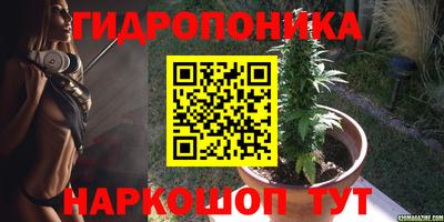 ешки Гай
