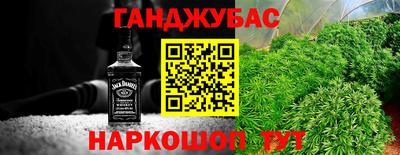 ешки Гай