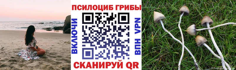 Псилоцибиновые грибы мицелий  MEGA   Коряжма 