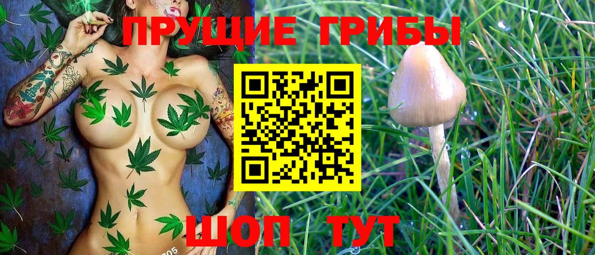 Коряжма  Псилоцибиновые грибы MAGIC MUSHROOMS  Галлюциногенные грибы Cubensis  Вход с VPN 