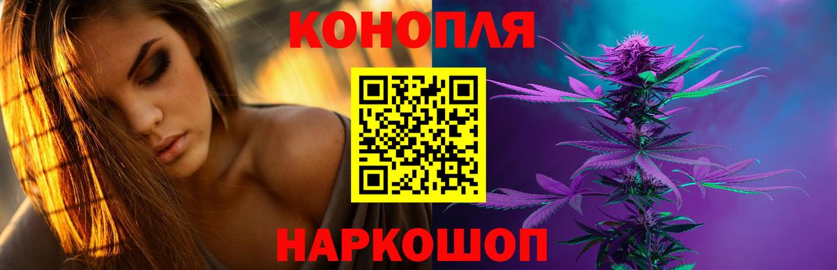 Конопля план Коряжма